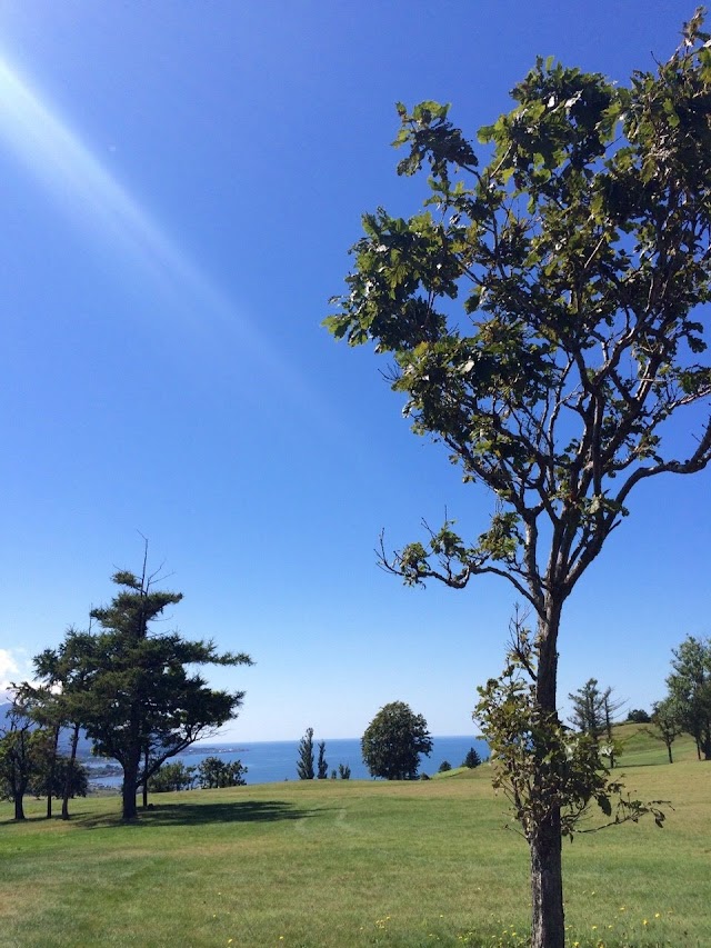 Mashike Golf Club - Photo 7