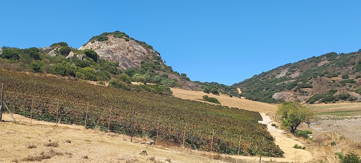 Wine Estate - Babylon's Peak