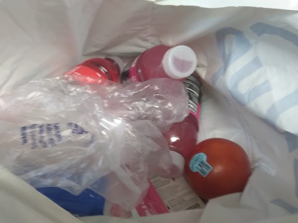 Photo by Cathy Allard