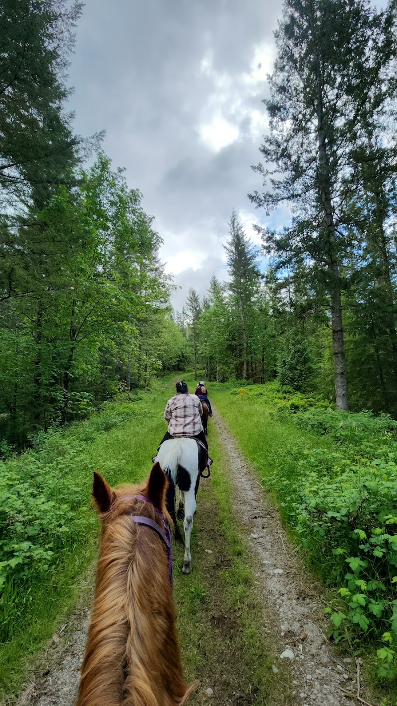 Echo River Ranch - Photo 1