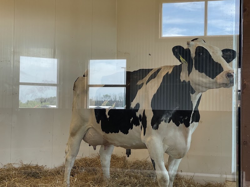 Farm Wisconsin Discovery Center photo 4