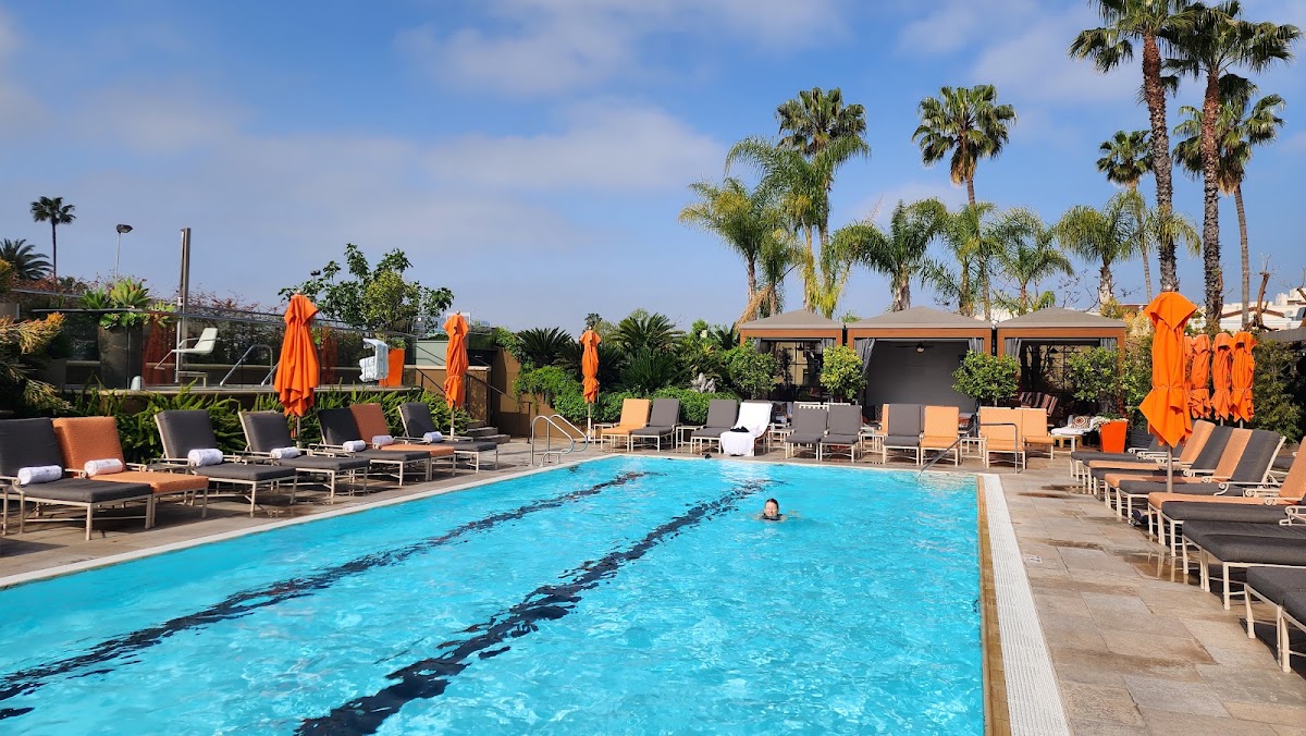 Four Seasons Hotel Los Angeles at Beverly Hills, dog-friendly hotel, photo 2