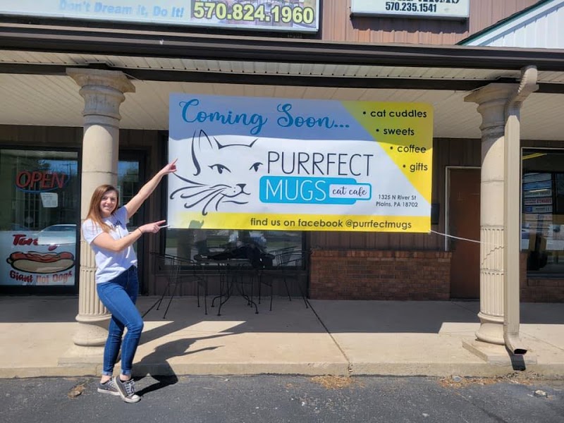 Purrfect Mugs Cat Cafe