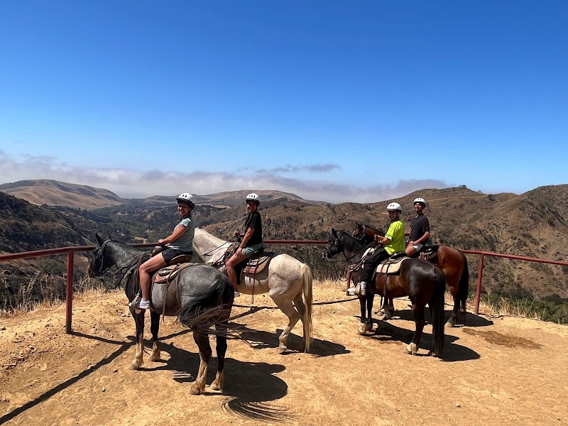 Circle Bar B Guest Ranch & Stables, Lodging and Events - Photo 6