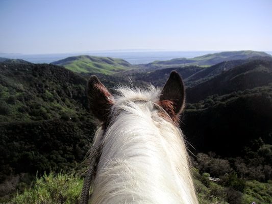 Circle Bar B Guest Ranch & Stables, Lodging and Events - Photo 4