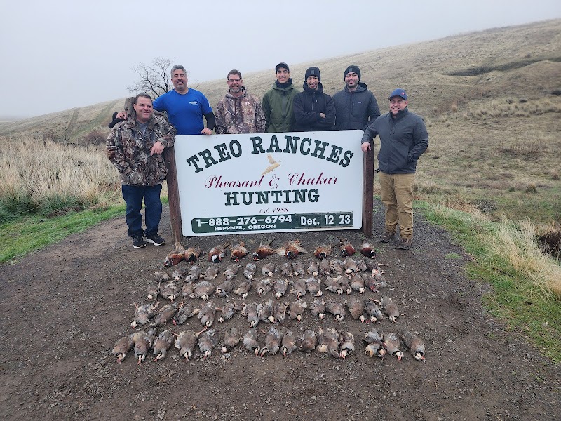 TREO Ranches, Inc - Photo 3