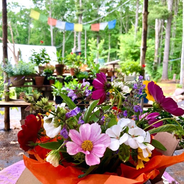 Photo by Skydog Farm