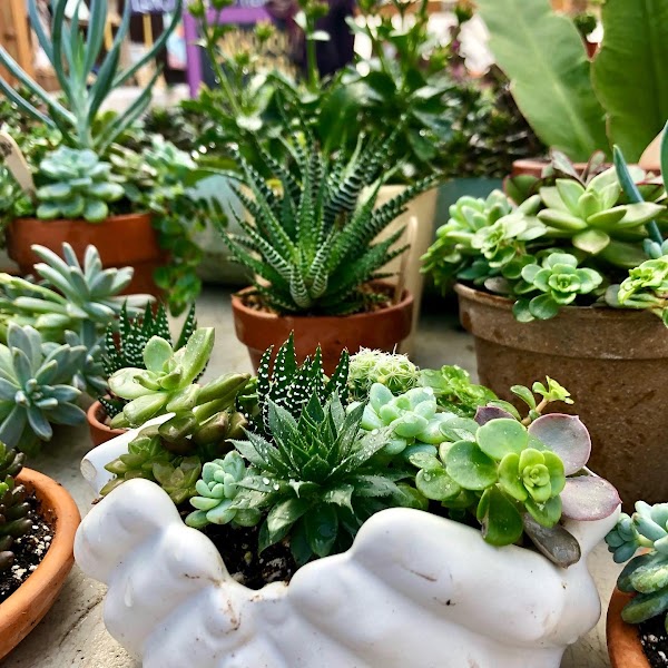 Photo by Skydog Farm