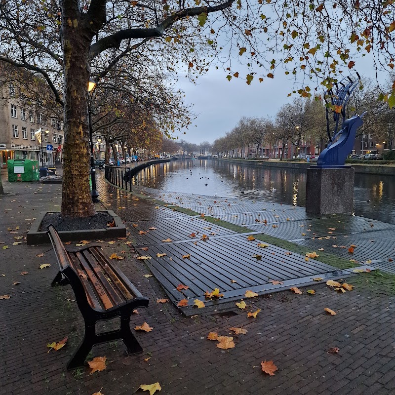 Zwaanshals