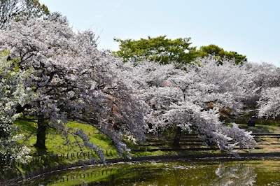 Tsurumi Ryokuchi Park - 5