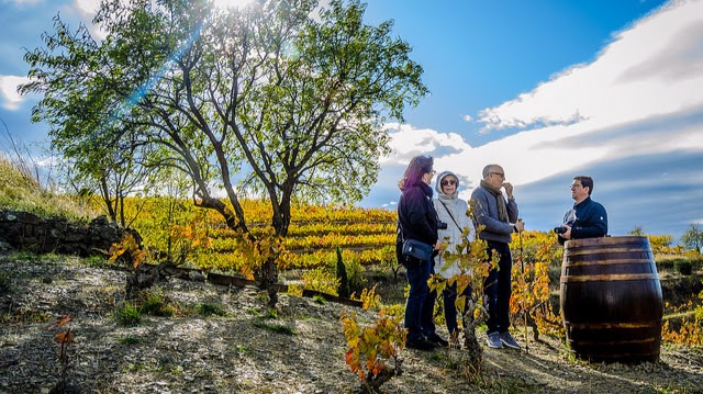 Celler Devinssi