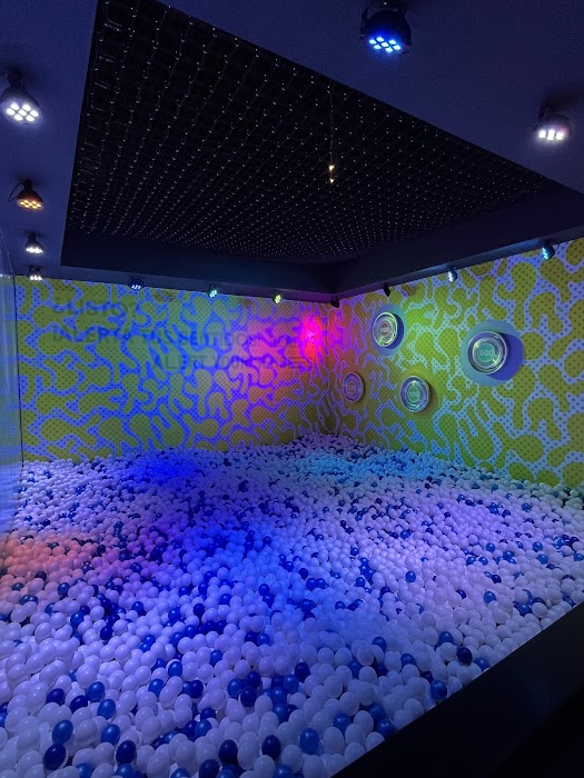 Museum of Senses Madrid fotoğraf 1