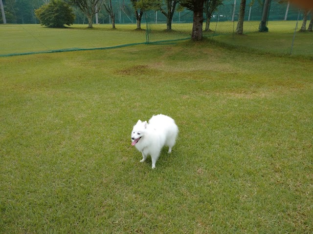 Kitakaruizawa Golf Club - Photo 6