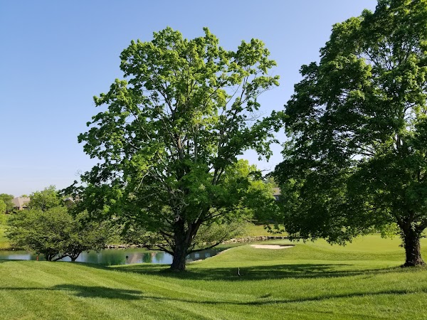 Photo by Standard Club