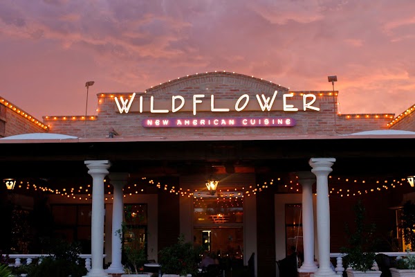 Wildflower Tucson