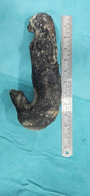 Dr Anand gupta - Image 3