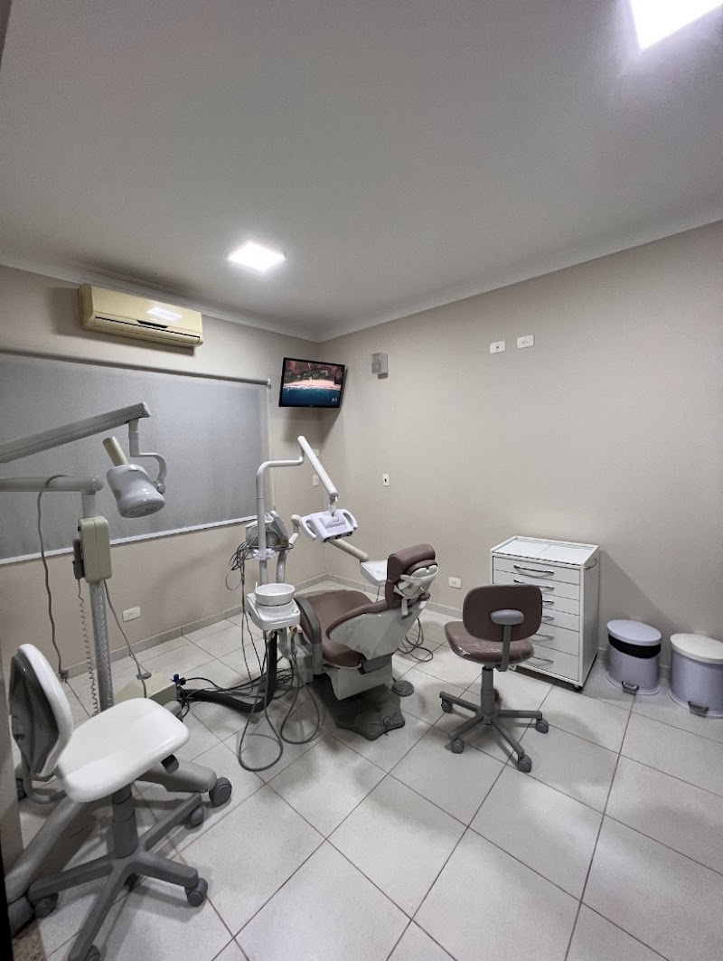 Dra Ana Paula Wolff - foto 4