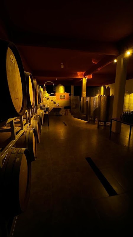 Bodega Daroca