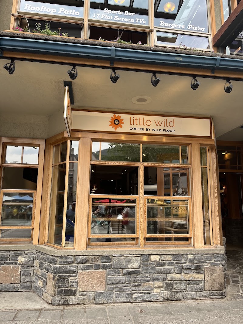Little Wild: Coffee & Gelato photo 1