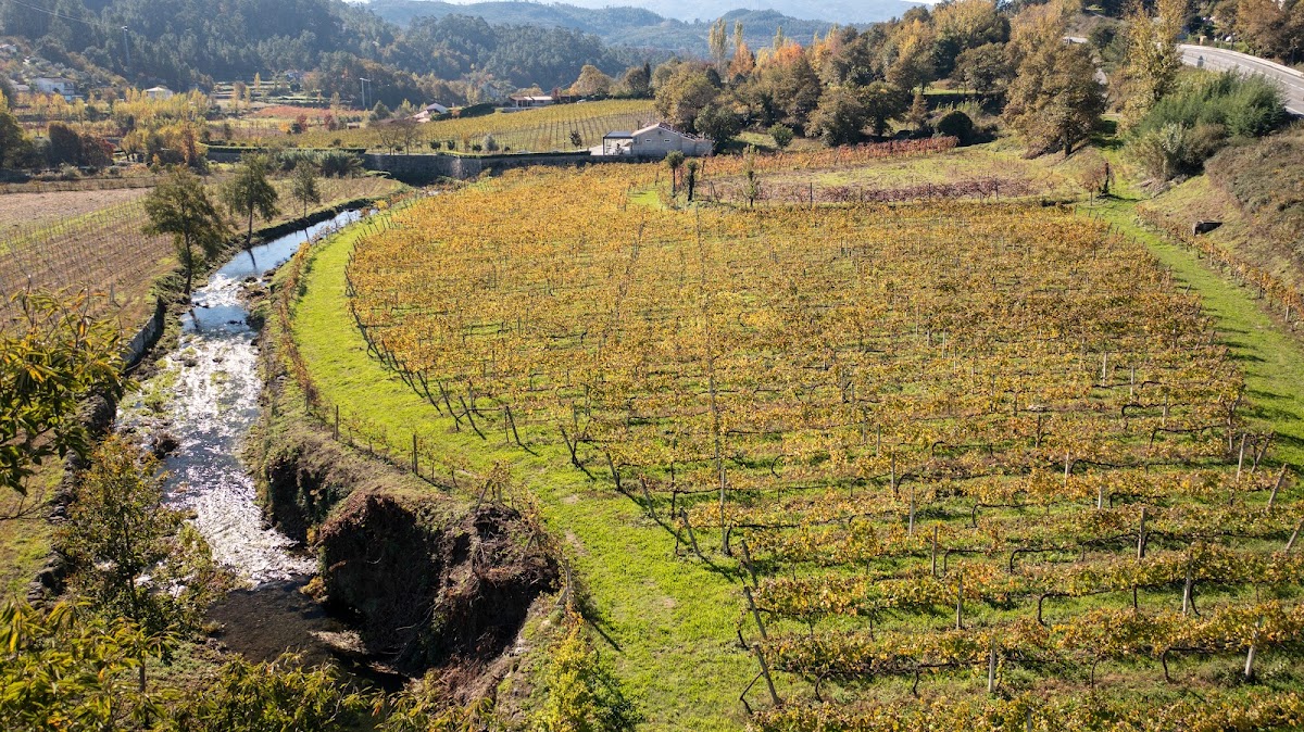 Quinta da Levada
