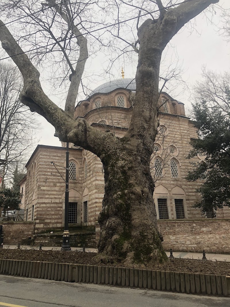 Zeynep Sultan Mosque photo 2