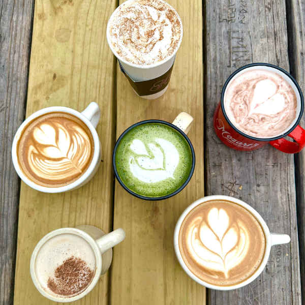 Mozart's Coffee Roasters photo 2