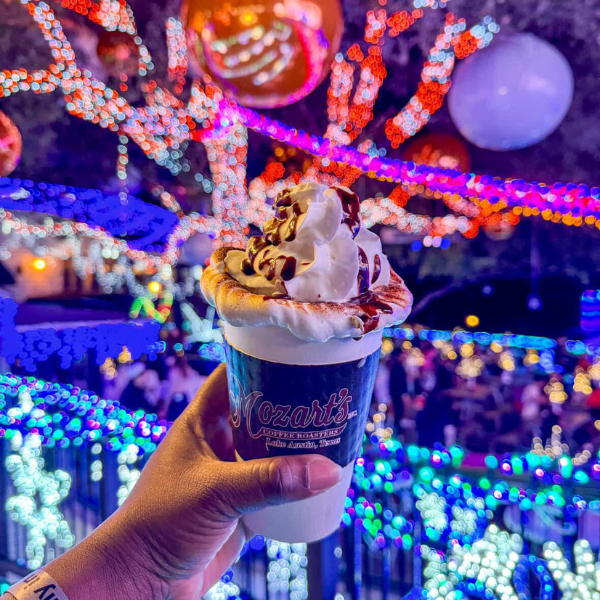 Mozart's Coffee Roasters interior