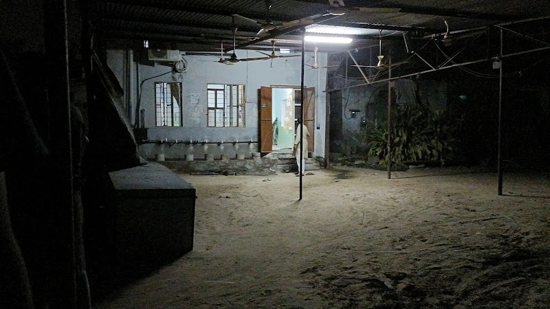 Masjid Bagichi photo 2