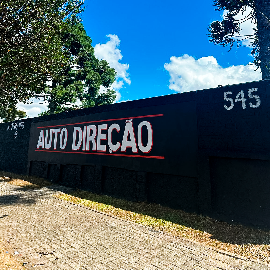 Auto Direção - Direção Hidráulica e Direção Elétrica