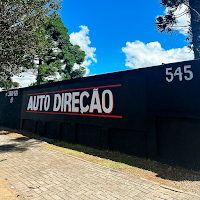 Auto Direção - Direção Hidráulica e Direção Elétrica