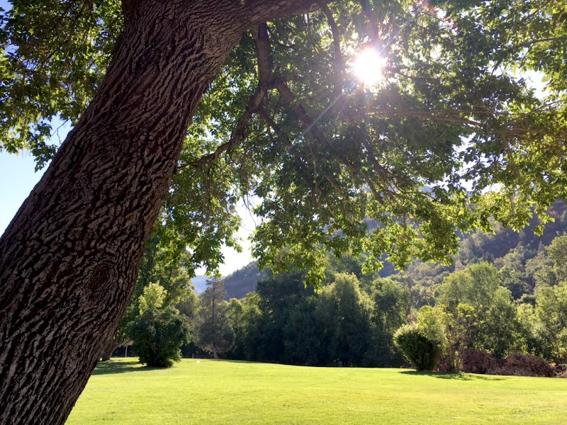 Jolley’s Ranch photo 1