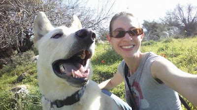 מרפאה וטרינרית - ד"ר שרון בראל (ויילר)