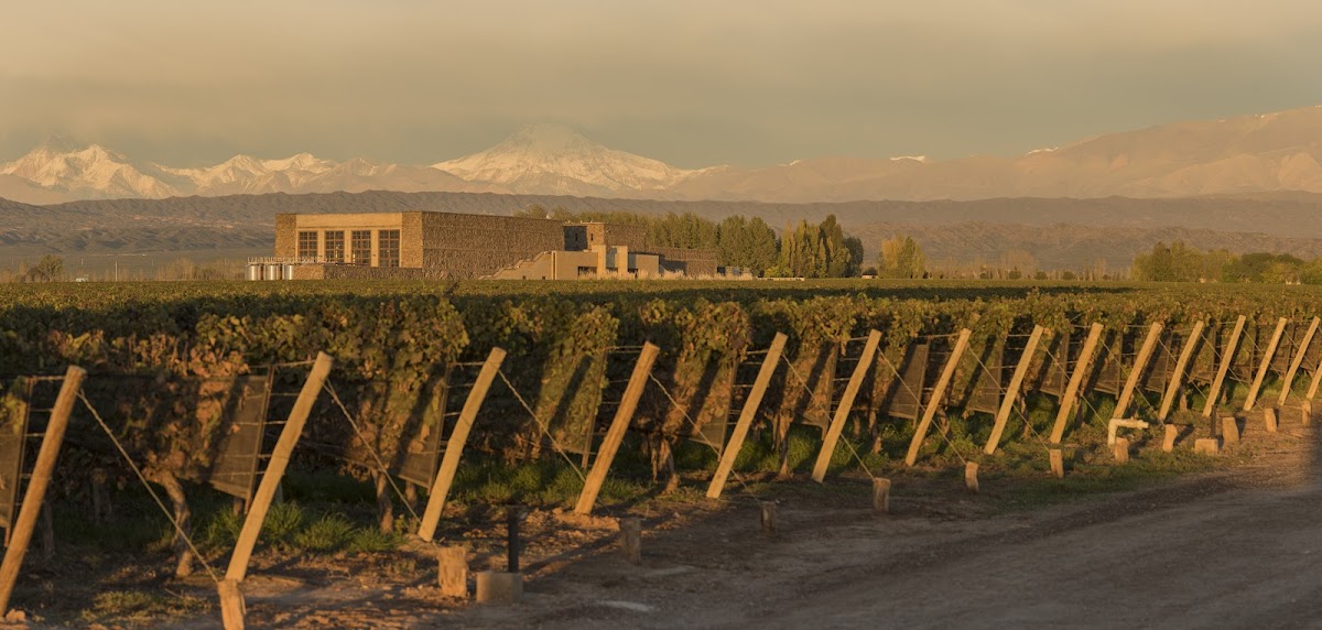 Bodega Séptima