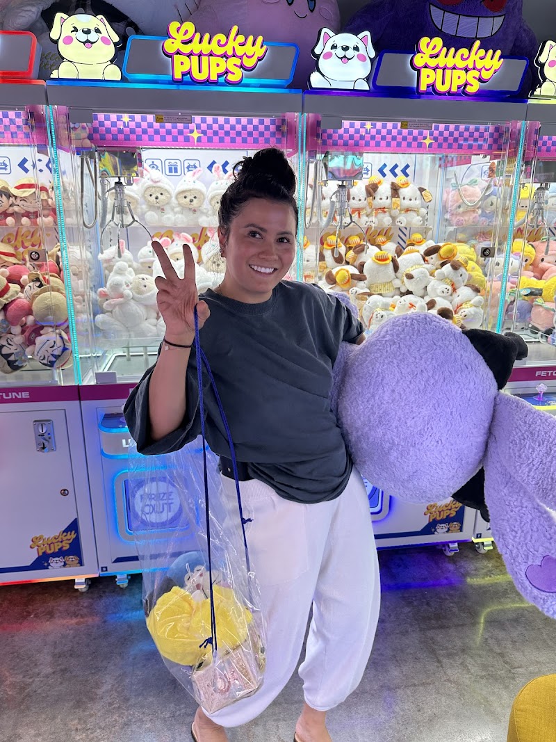 Lucky Pups Claw Arcade photo 8