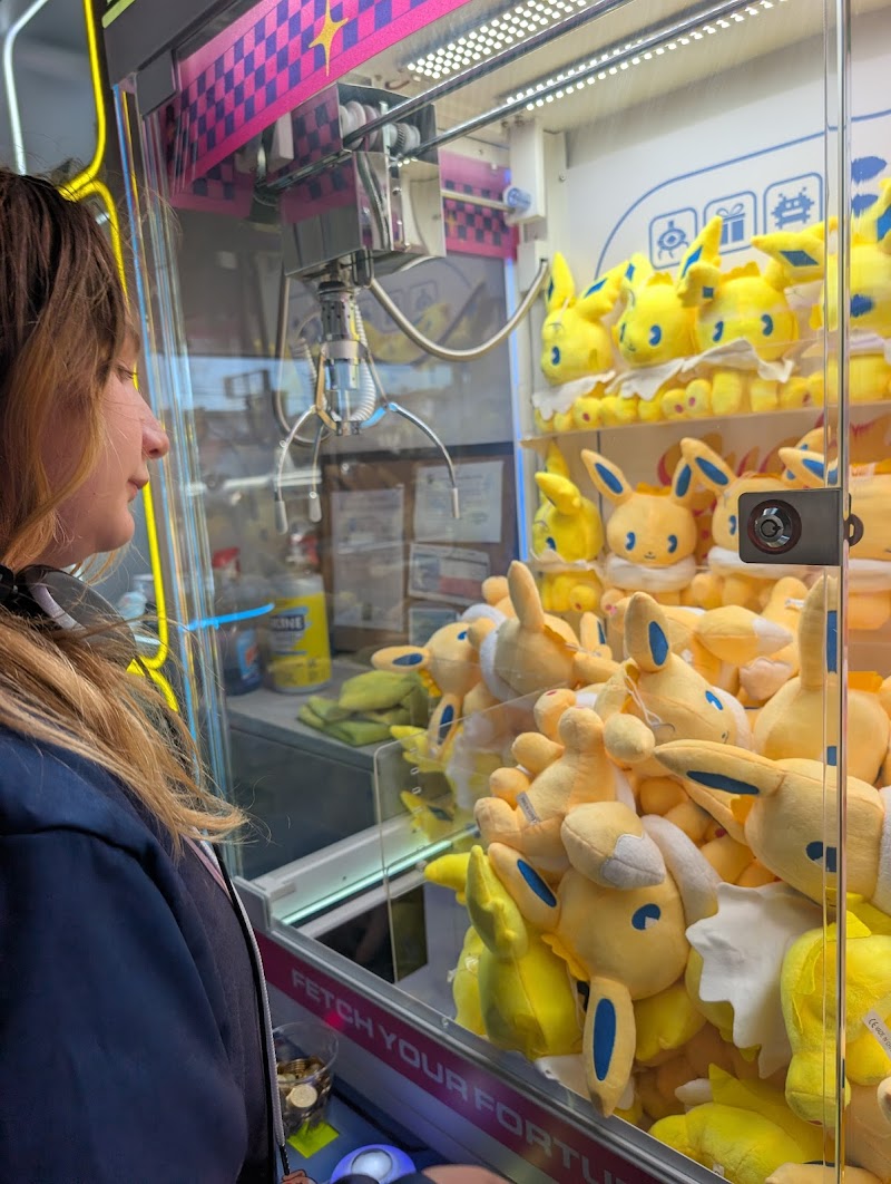 Lucky Pups Claw Arcade photo 6