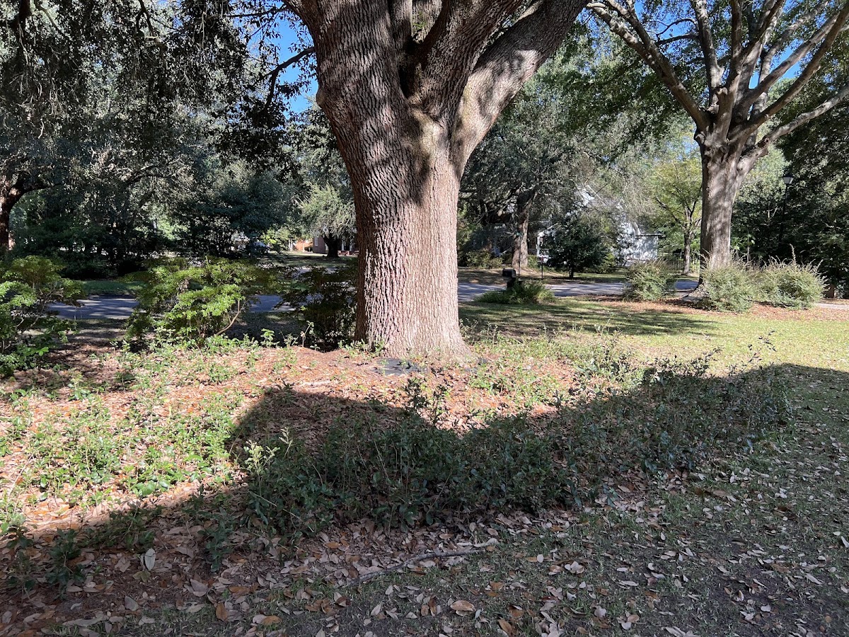 Parker Lawn & Landscape Supply