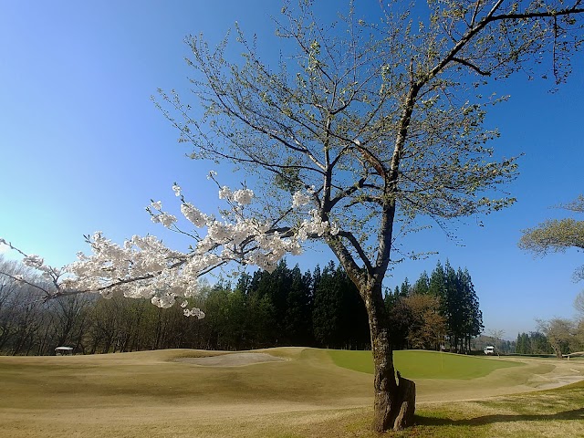 Tainai Kogen Golf Club - Photo 4