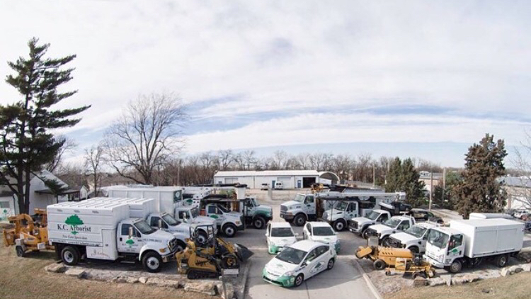 K. C. Arborist