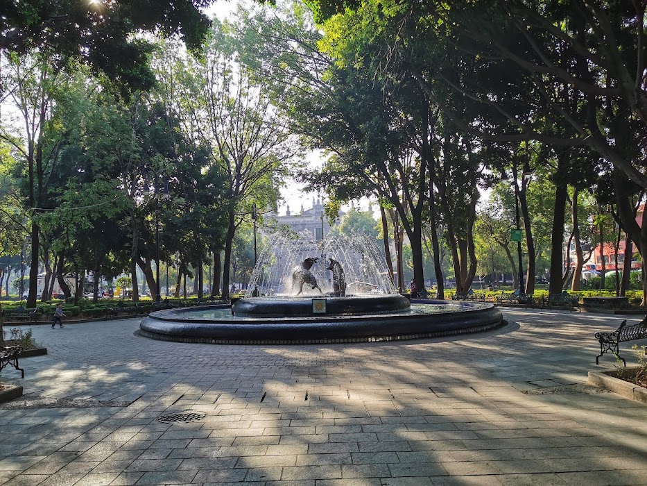 Jardín Centenario fotoğraf 1