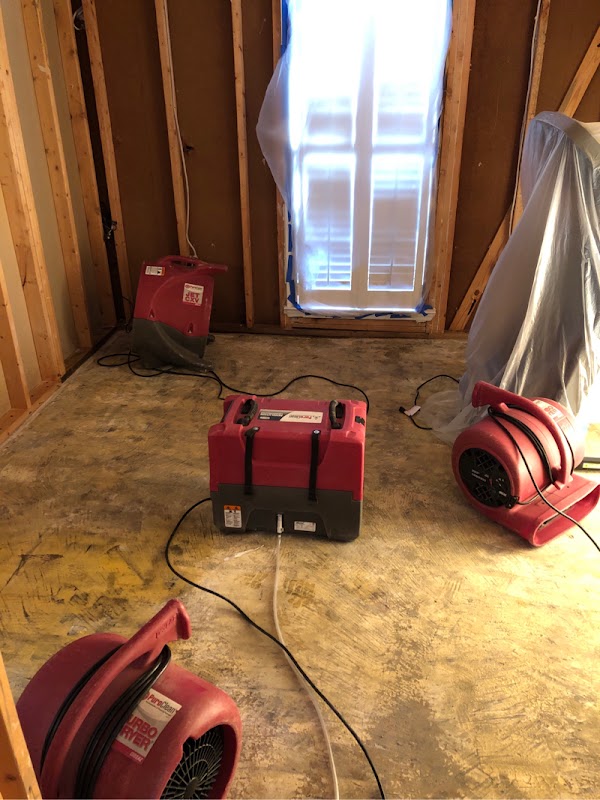 PuroClean Water/Mold/Fire Damage Experts — photo