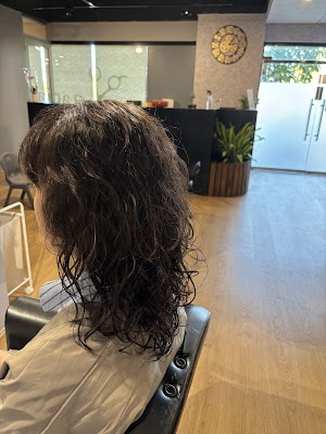 Hair Radiance photo 3