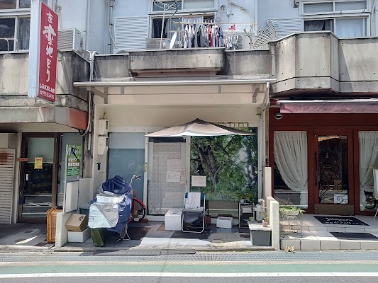 オオクワ京都昆虫館