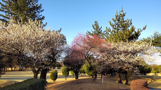 Maebashi Golf Course - Photo 5