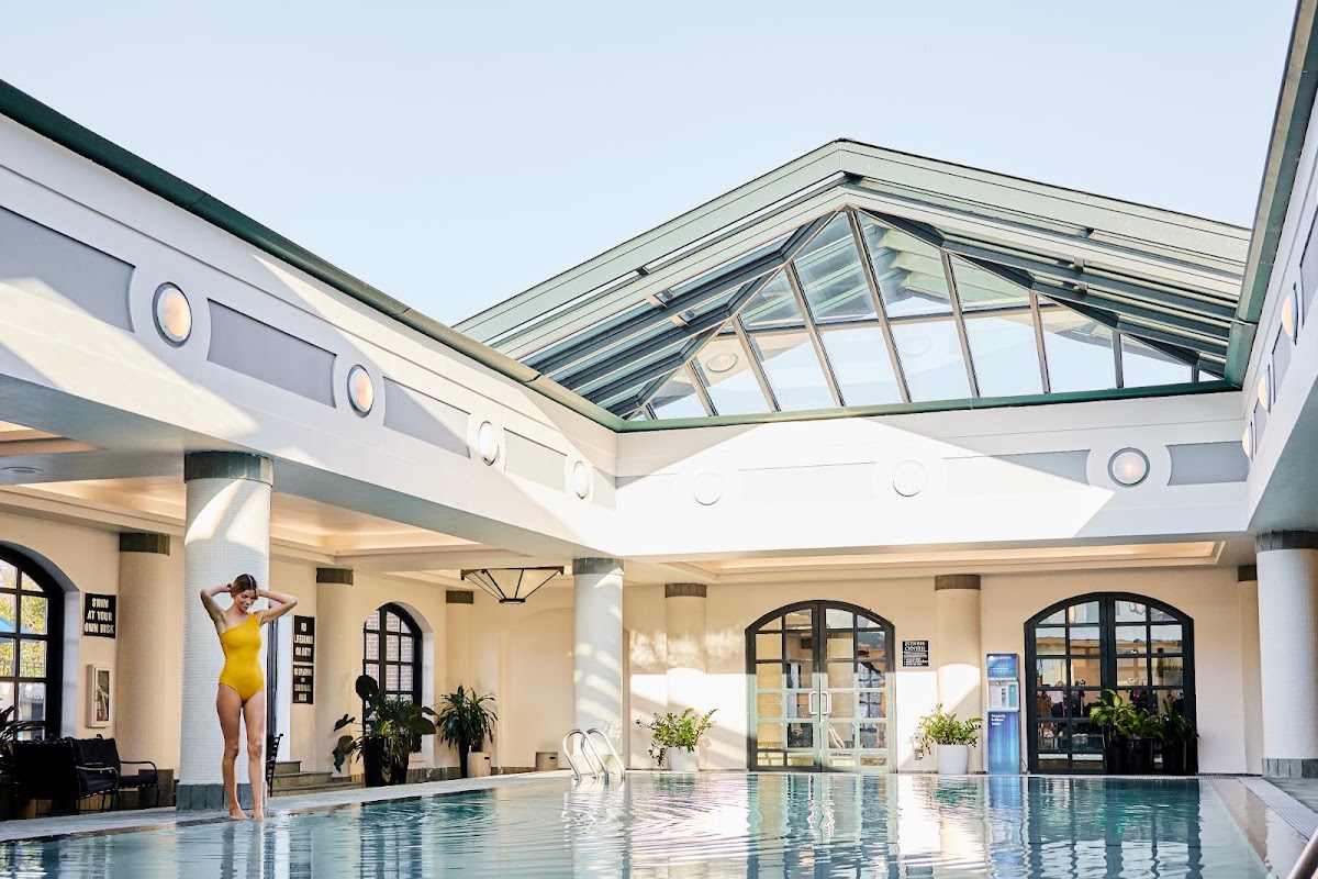 The Charleston Place, dog-friendly hotel in Charleston