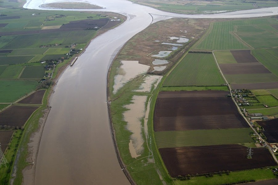 RSPB Blacktoft Sands