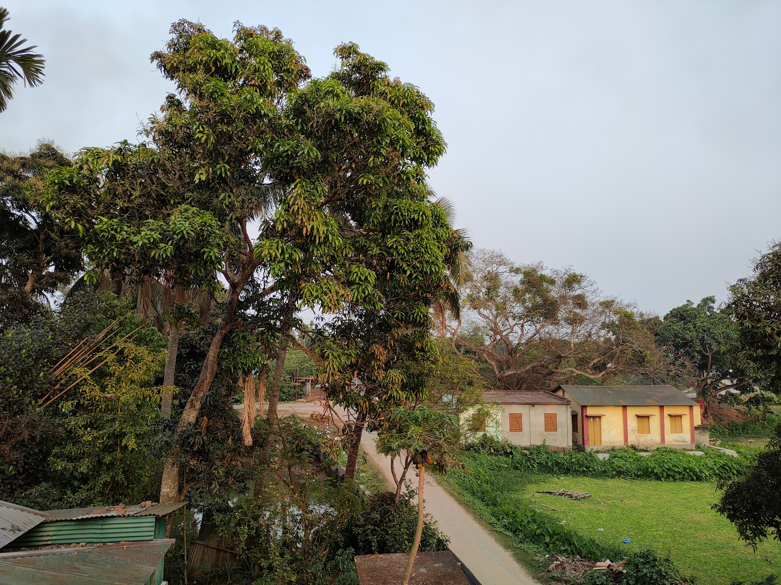 Kamini Bhawan Google photo 3