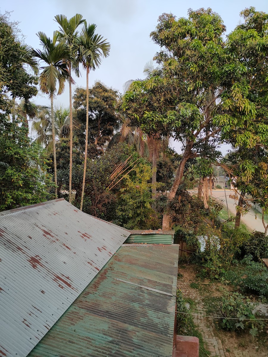 Kamini Bhawan Google photo 4