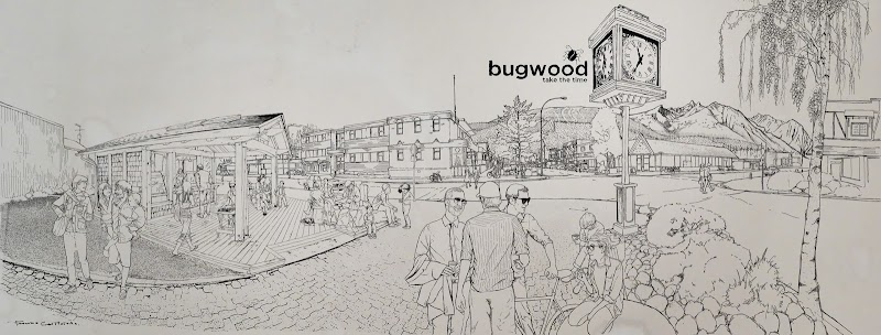 Bugwood Coffee | Cafe photo 3
