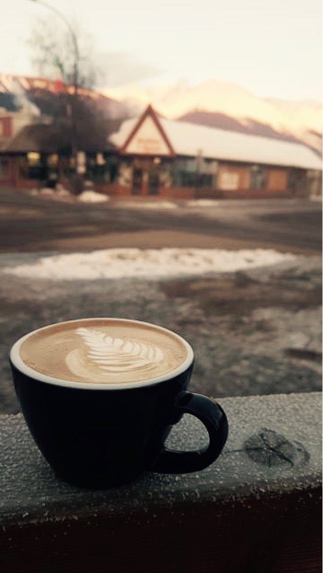 Bugwood Coffee | Cafe photo 2