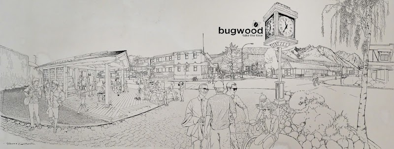 Bugwood Coffee | Cafe photo 3